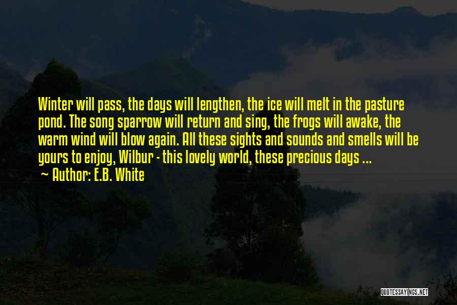 Sights And Sounds Quotes By E.B. White