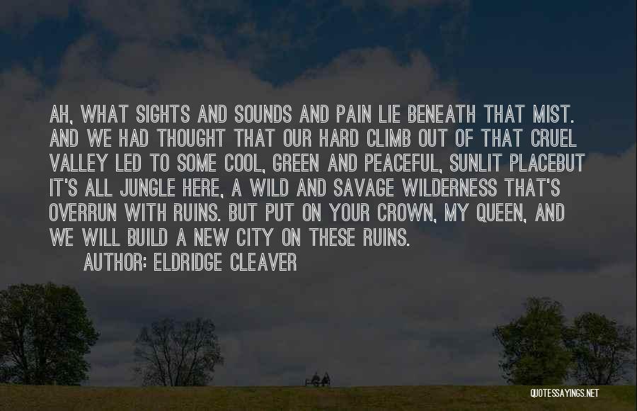 Sights And Sounds Quotes By Eldridge Cleaver