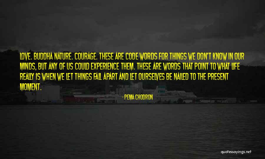 Sightseers Soundtrack Quotes By Pema Chodron Sightseers Soundtrack Quotes By Pema Chodron