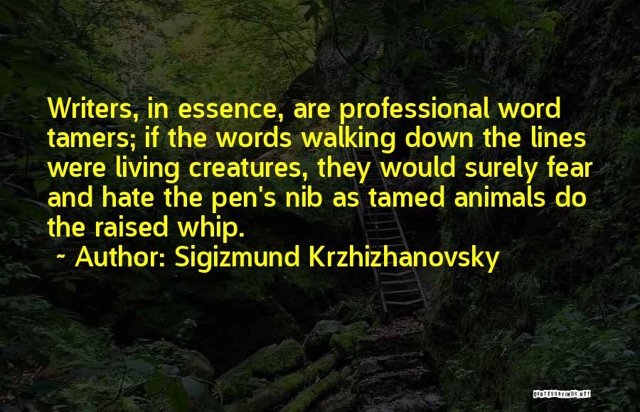 Sigizmund Krzhizhanovsky Quotes 1105344