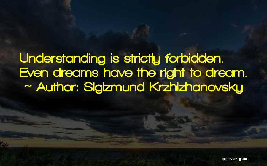 Sigizmund Krzhizhanovsky Quotes 1266540