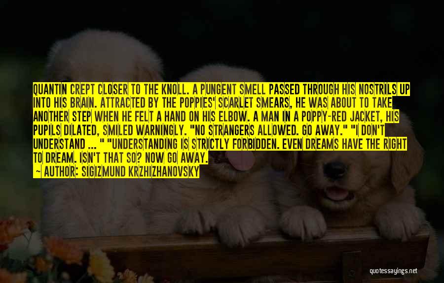 Sigizmund Krzhizhanovsky Quotes 1737452