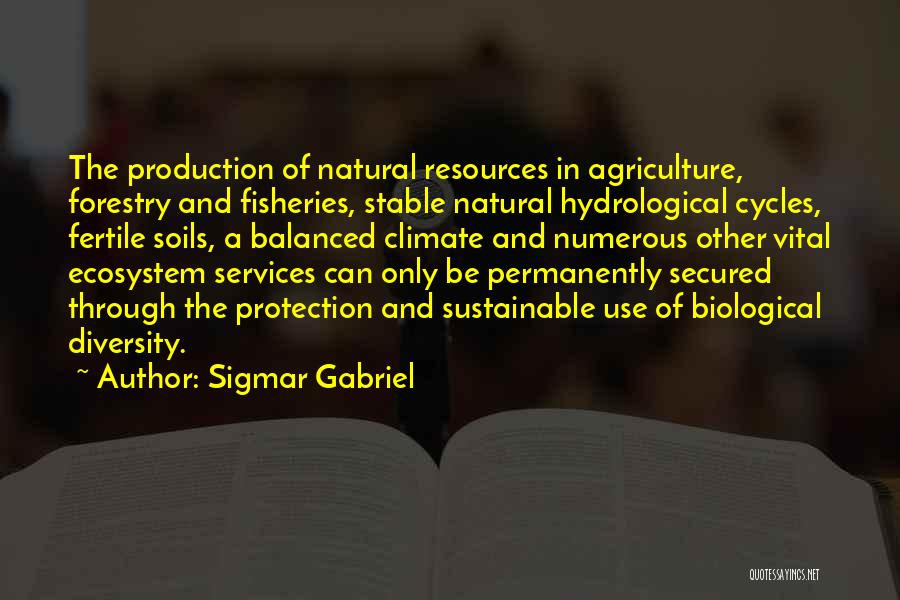 Sigmar Gabriel Quotes 1974313