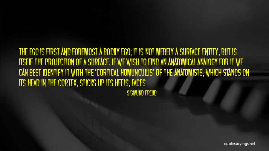 Sigmund Freud Quotes 339152