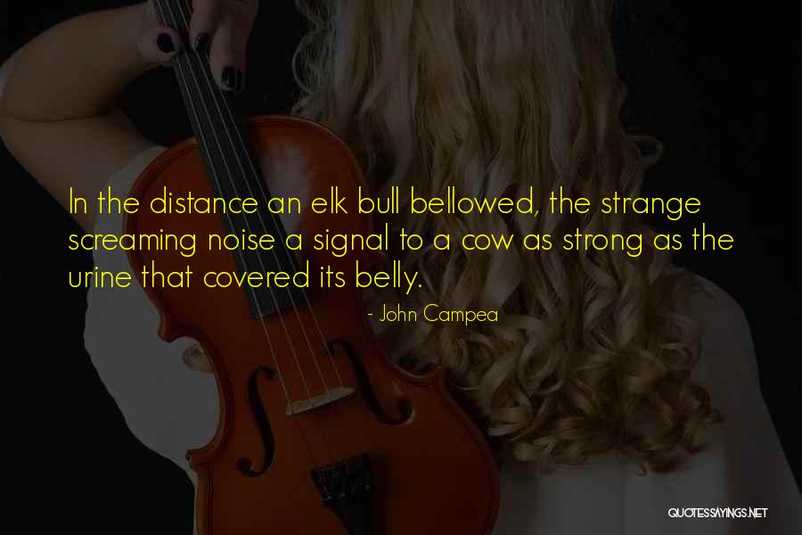 Signal And Noise Quotes By John Campea Signal And Noise Quotes By John Campea