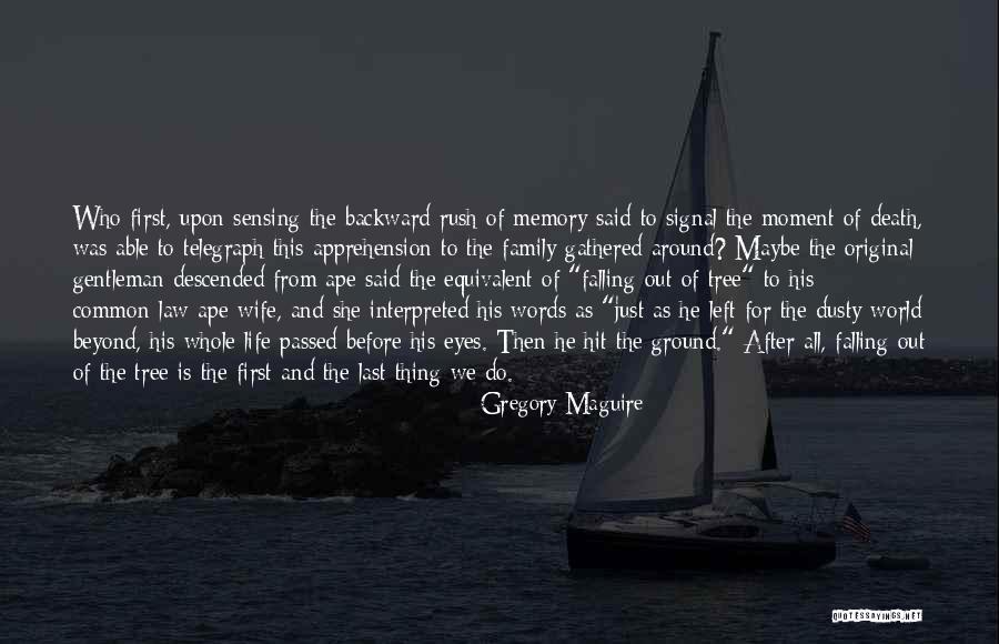 Signal Words For Quotes By Gregory Maguire Signal Words For Quotes By Gregory Maguire