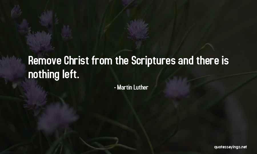 Signazon Dallas Quotes By Martin Luther Signazon Dallas Quotes By Martin Luther
