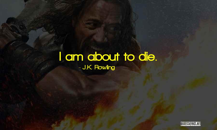 Significance And Need Of Ergonomics Quotes By J.K. Rowling