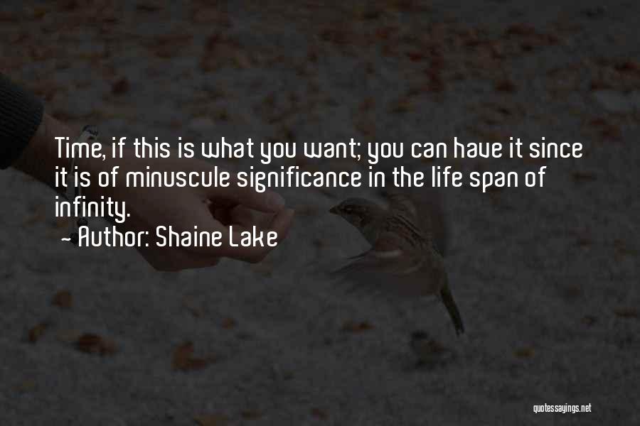 Significance In Life Quotes By Shaine Lake