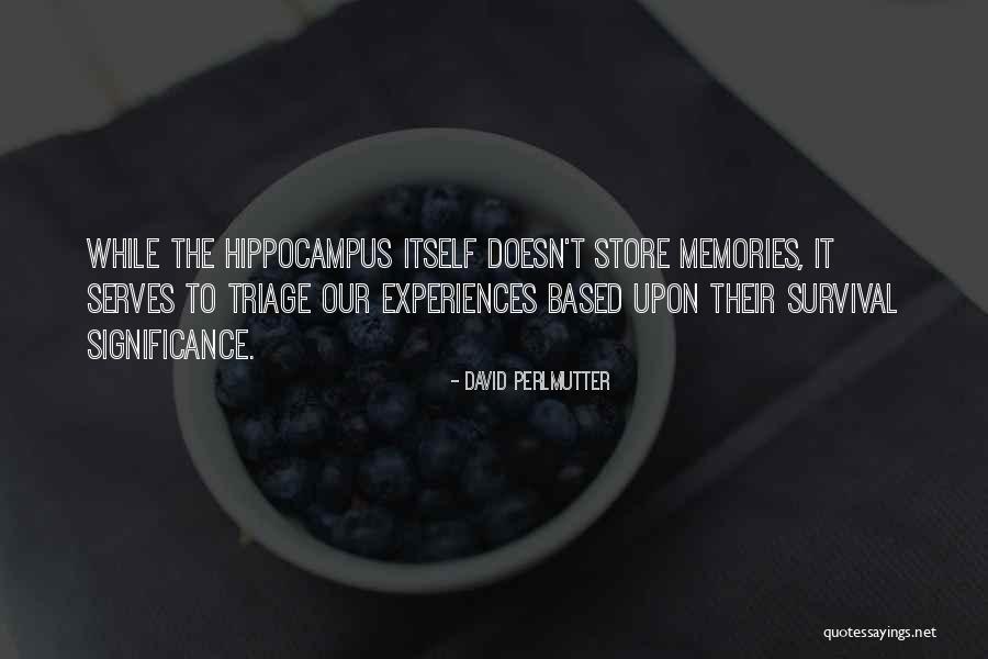 Significance Of Memories Quotes By David Perlmutter Significance Of Memories Quotes By David Perlmutter