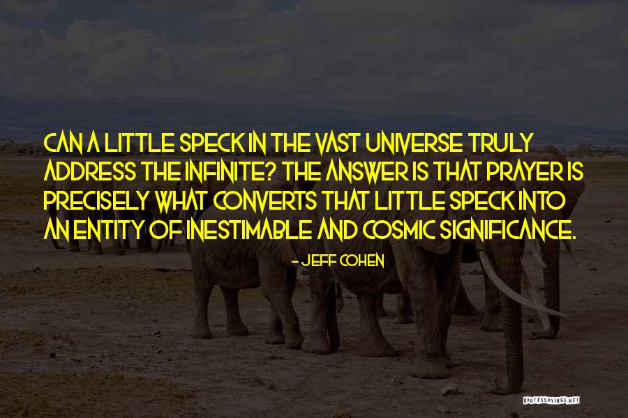 Significance Quotes By Jeff Cohen