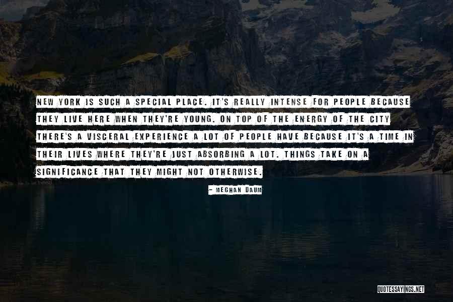 Significance Quotes By Meghan Daum Significance Quotes By Meghan Daum