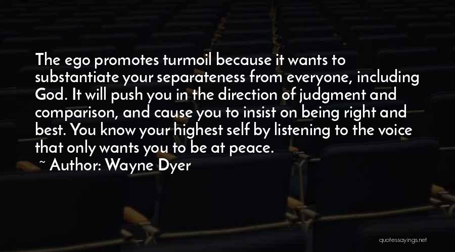 Significances Plural Quotes By Wayne Dyer