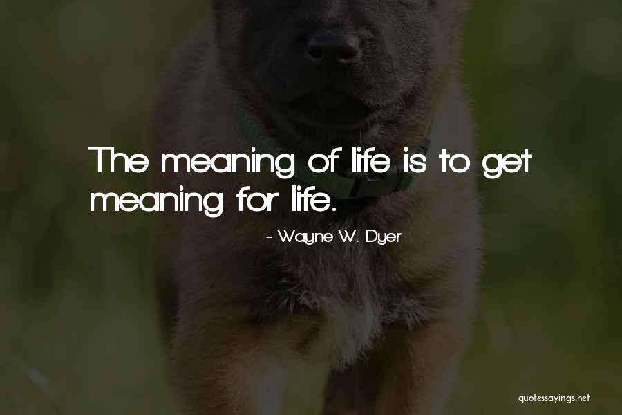 Significante Sinonimo Quotes By Wayne W. Dyer Significante Sinonimo Quotes By Wayne W. Dyer