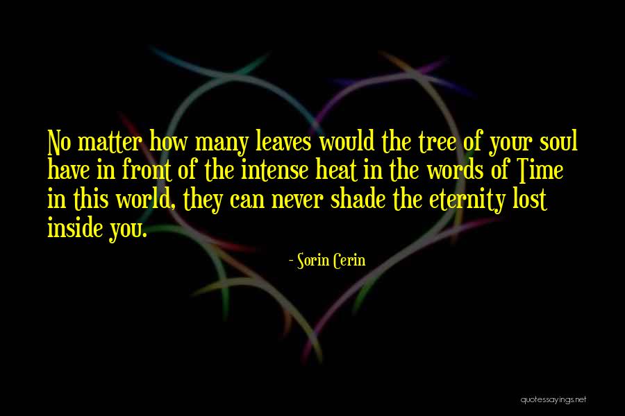 Signorile Show Quotes By Sorin Cerin Signorile Show Quotes By Sorin Cerin