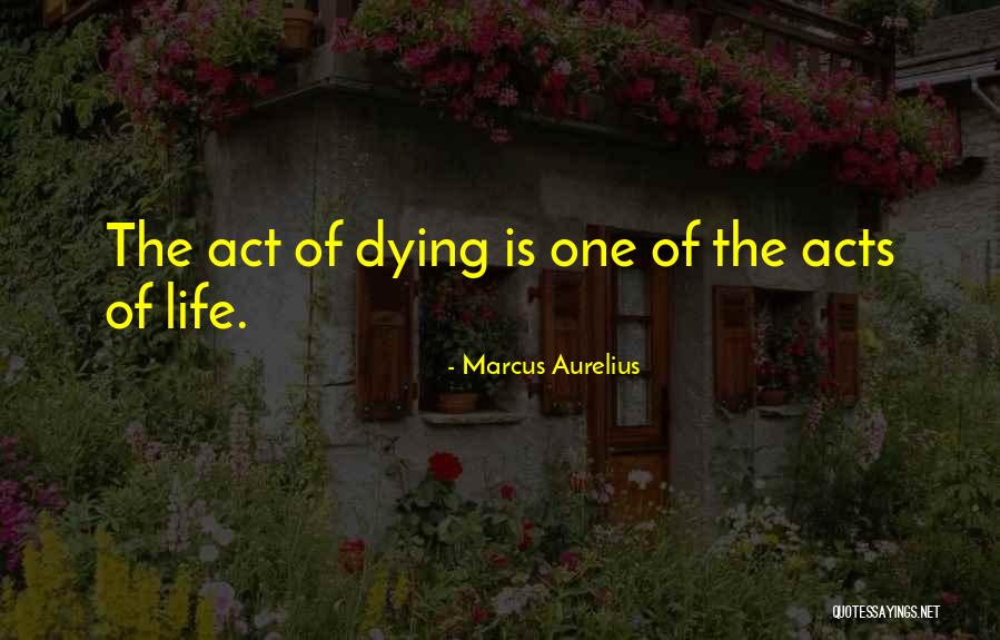 Sigrun Fire Quotes By Marcus Aurelius Sigrun Fire Quotes By Marcus Aurelius