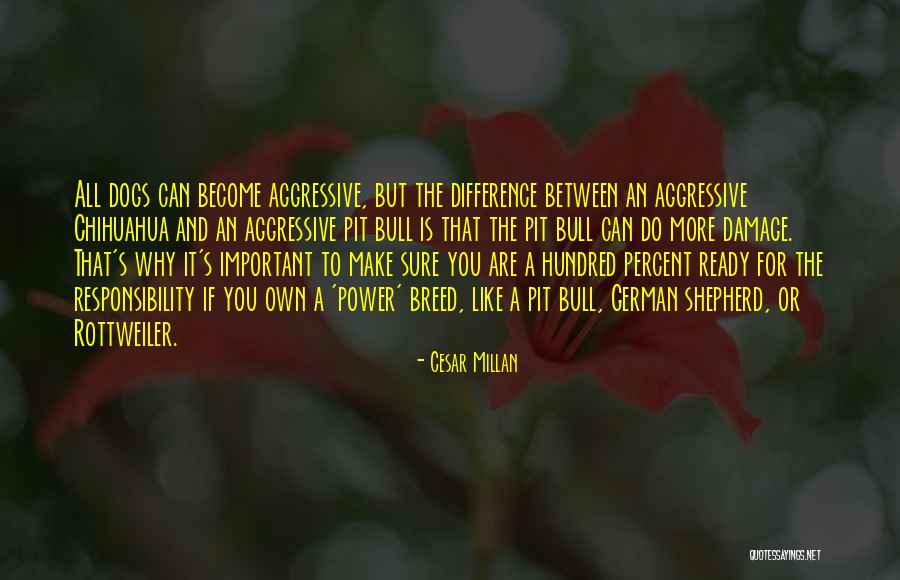 Sigtebrod Quotes By Cesar Millan Sigtebrod Quotes By Cesar Millan