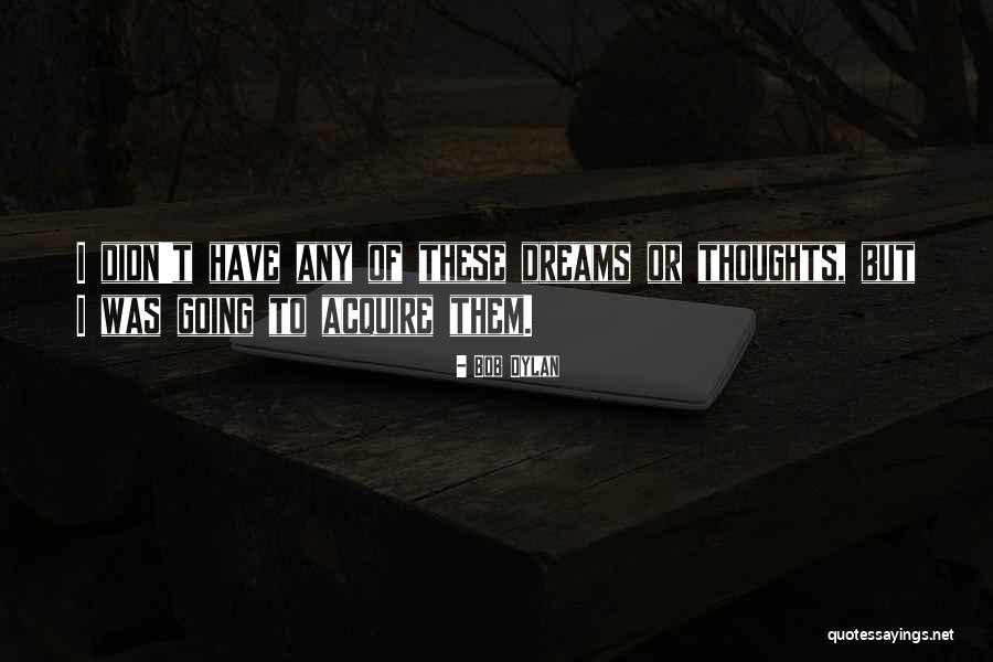 Sigvald Memes Quotes By Bob Dylan