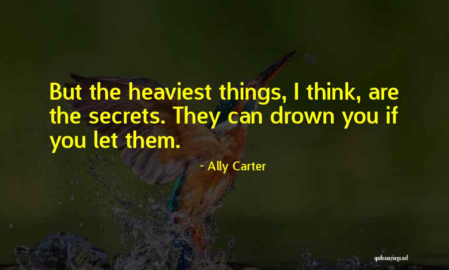 Sigve Helleren Quotes By Ally Carter