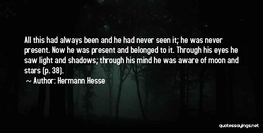 Sigve Helleren Quotes By Hermann Hesse