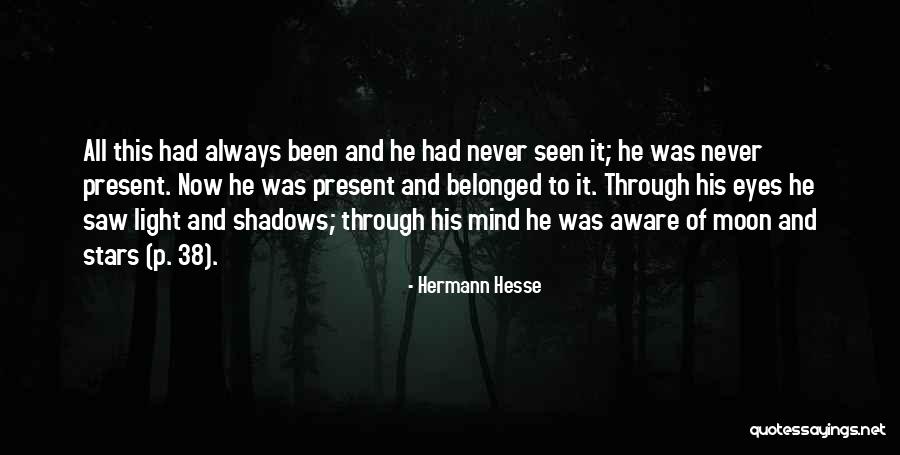 Sigve Helleren Quotes By Hermann Hesse