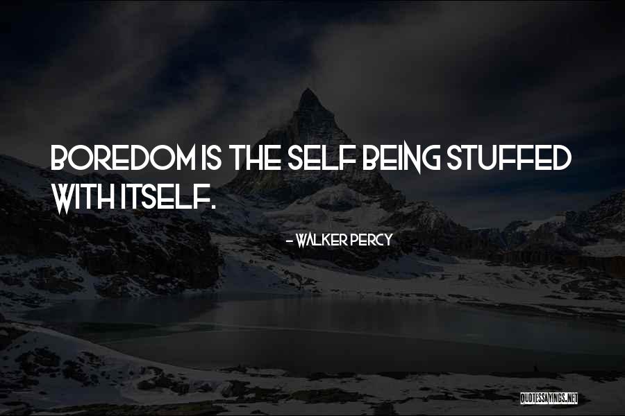 Siipi Falls Quotes By Walker Percy Siipi Falls Quotes By Walker Percy