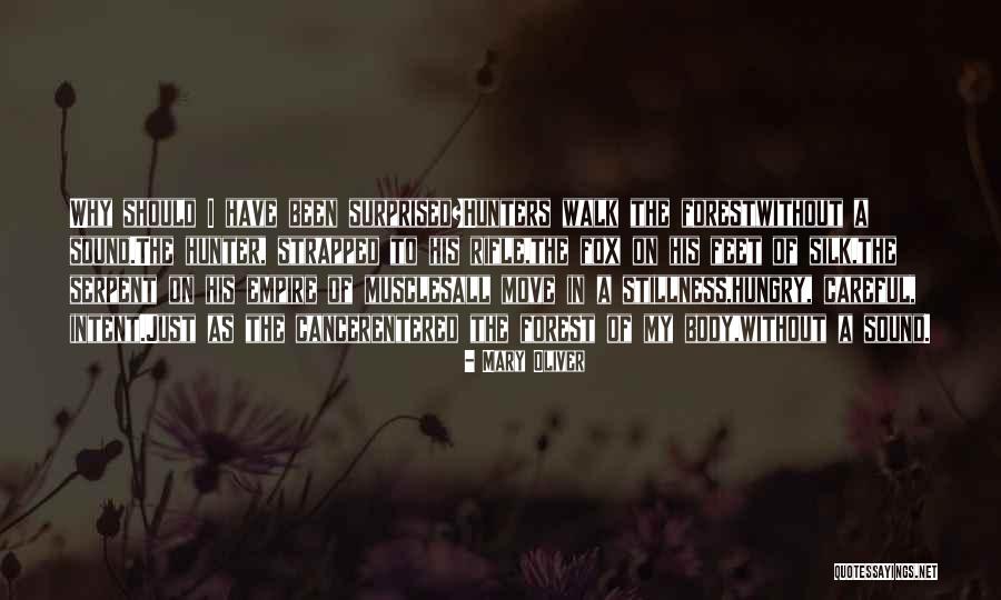 Siipikalvo Quotes By Mary Oliver Siipikalvo Quotes By Mary Oliver