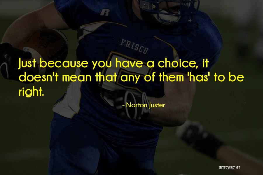 Siiri Oviir Quotes By Norton Juster Siiri Oviir Quotes By Norton Juster