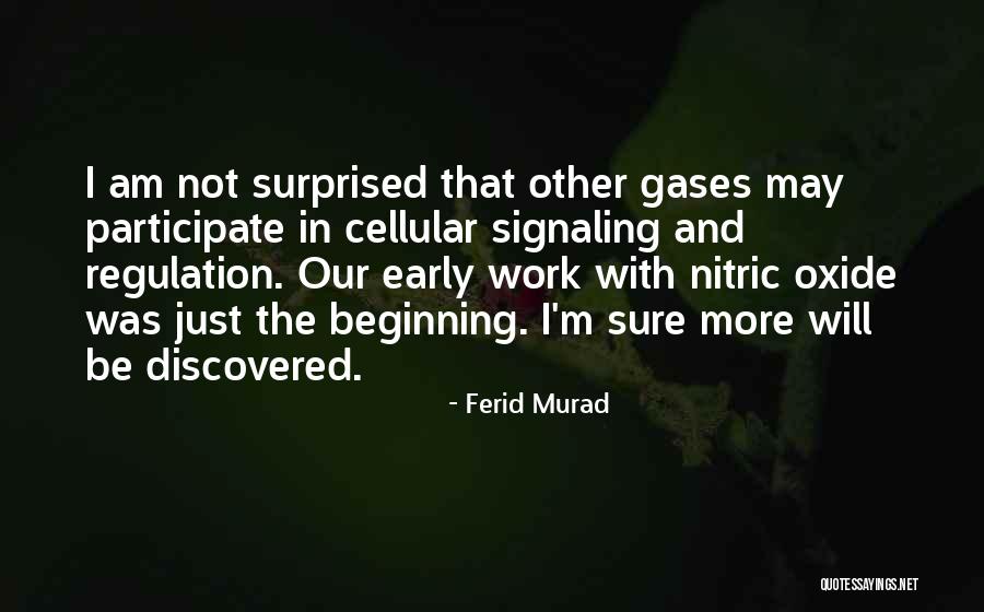 Siiri Raasakka Quotes By Ferid Murad Siiri Raasakka Quotes By Ferid Murad
