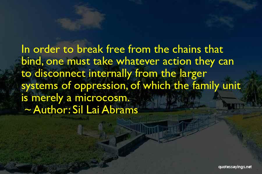 Sil Lai Abrams Quotes 1584062