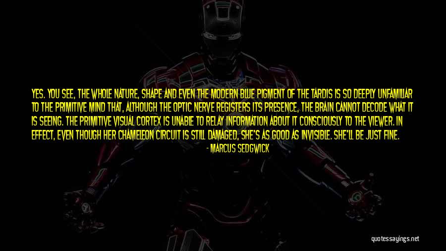 Silaha Flounce Quotes By Marcus Sedgwick Silaha Flounce Quotes By Marcus Sedgwick
