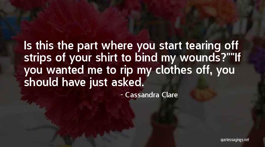 Silajdzic Haris Quotes By Cassandra Clare