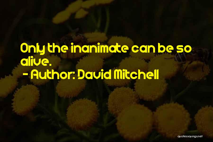 Silbiger Photography Quotes By David Mitchell