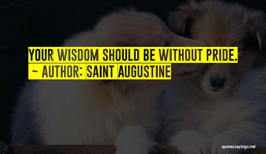 Silbiger Photography Quotes By Saint Augustine