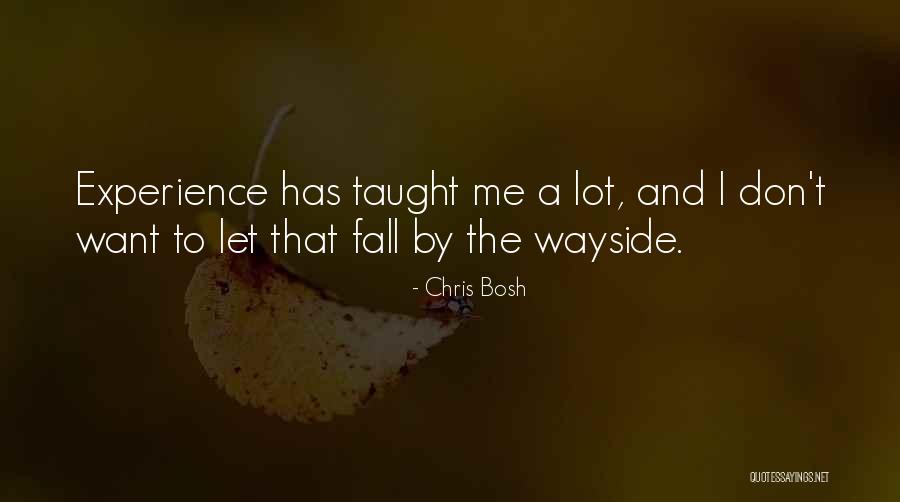 Sildymo Sistemos Quotes By Chris Bosh Sildymo Sistemos Quotes By Chris Bosh