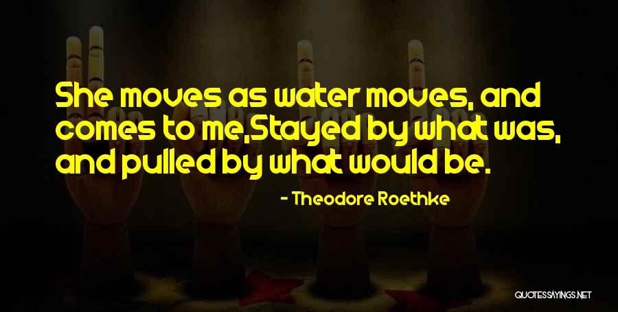 Silence Across The Land Quotes By Theodore Roethke Silence Across The Land Quotes By Theodore Roethke