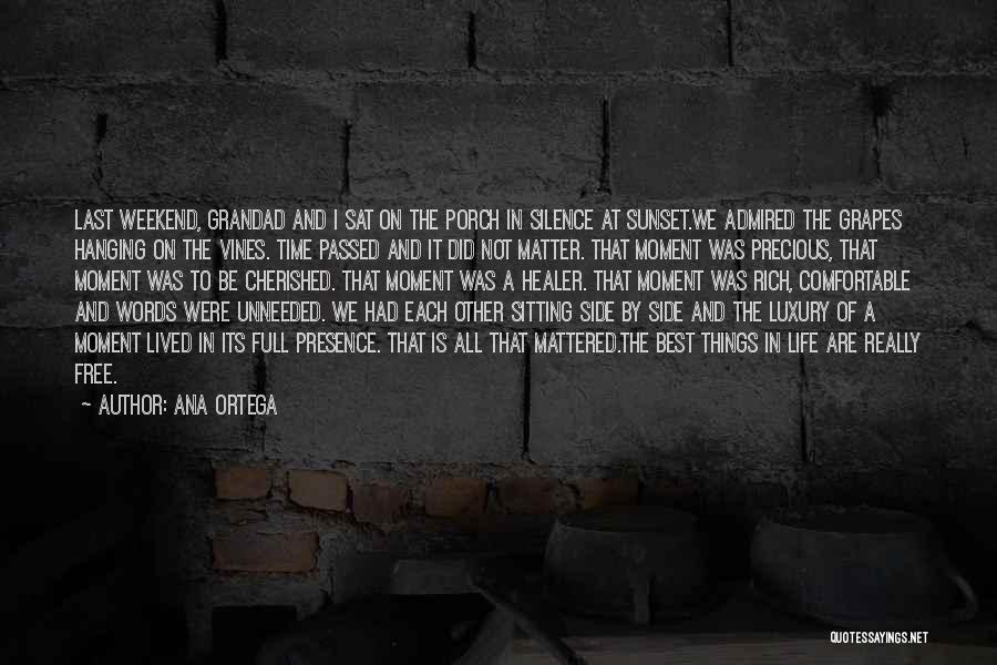 Silence And Attitude Quotes By Ana Ortega