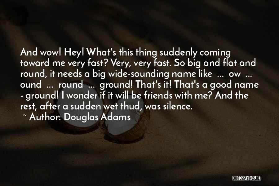 Silence And Friends Quotes By Douglas Adams