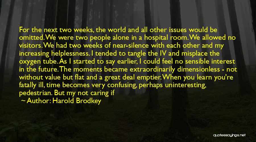 Silence And Hurt Quotes By Harold Brodkey