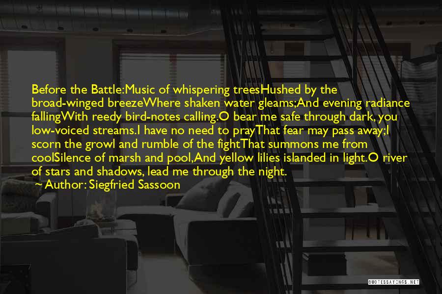 Silence And Music Quotes By Siegfried Sassoon