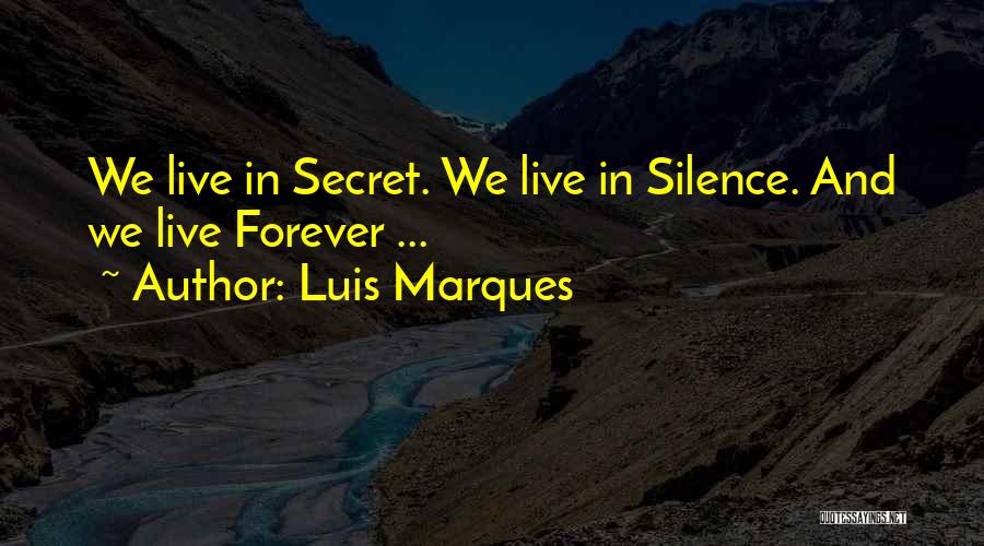 Silence And Wisdom Quotes By Luis Marques