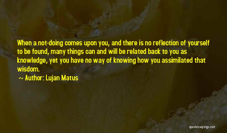 Silence And Wisdom Quotes By Lujan Matus