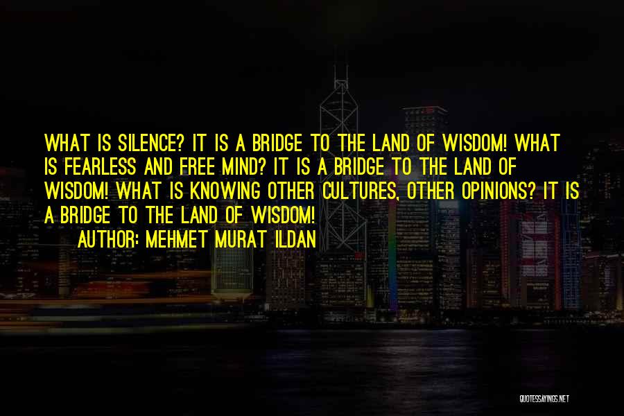 Silence And Wisdom Quotes By Mehmet Murat Ildan