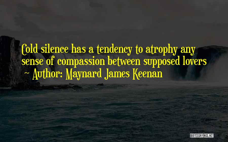 Silence Between Lovers Quotes By Maynard James Keenan