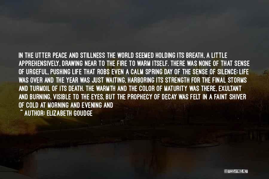 Silence In The Morning Quotes By Elizabeth Goudge