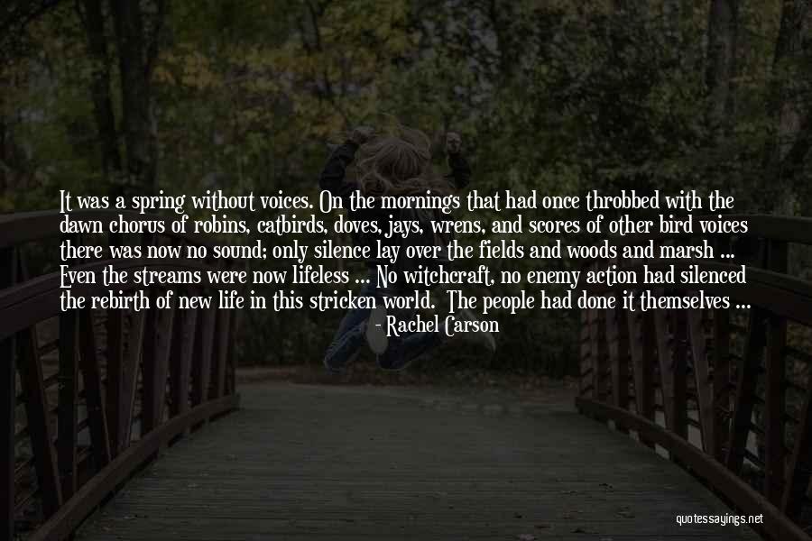 Silence In The Morning Quotes By Rachel Carson