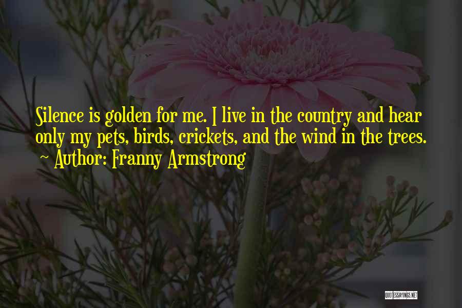Silence Is Golden Quotes By Franny Armstrong
