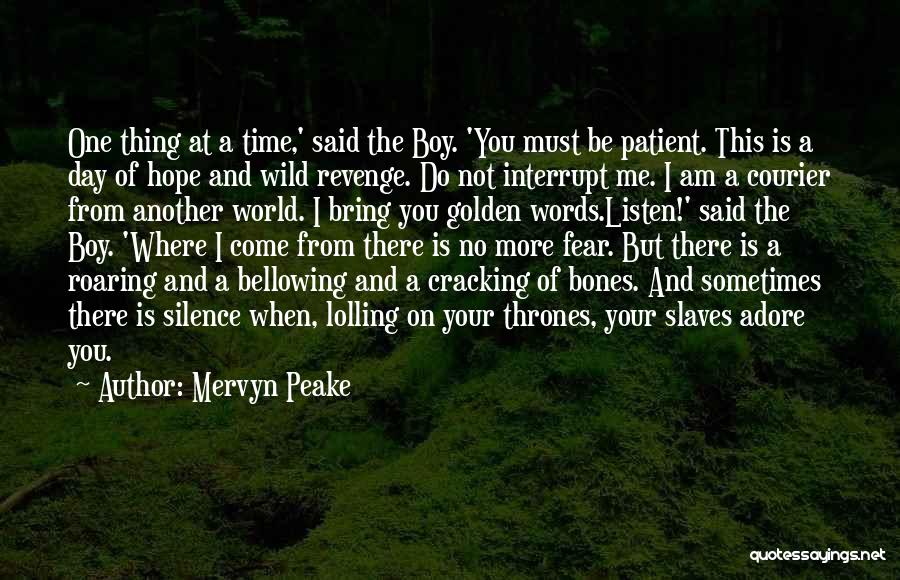 Silence Is Golden Quotes By Mervyn Peake