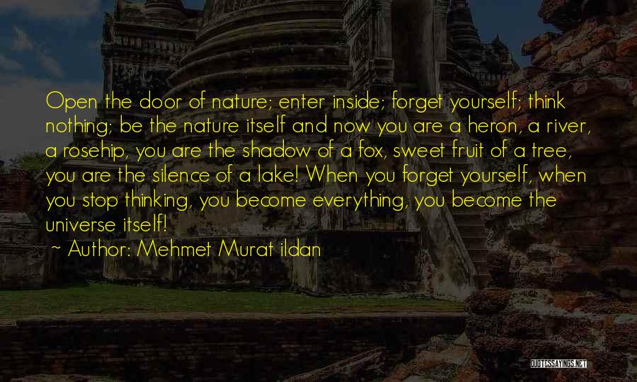 Silence Of Nature Quotes By Mehmet Murat Ildan