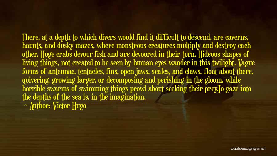 Silence Of Sea Quotes By Victor Hugo